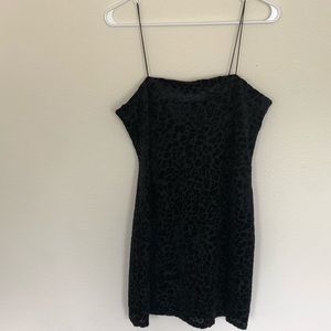 Wild Fable Medium Black Velvet cheetah print Dress